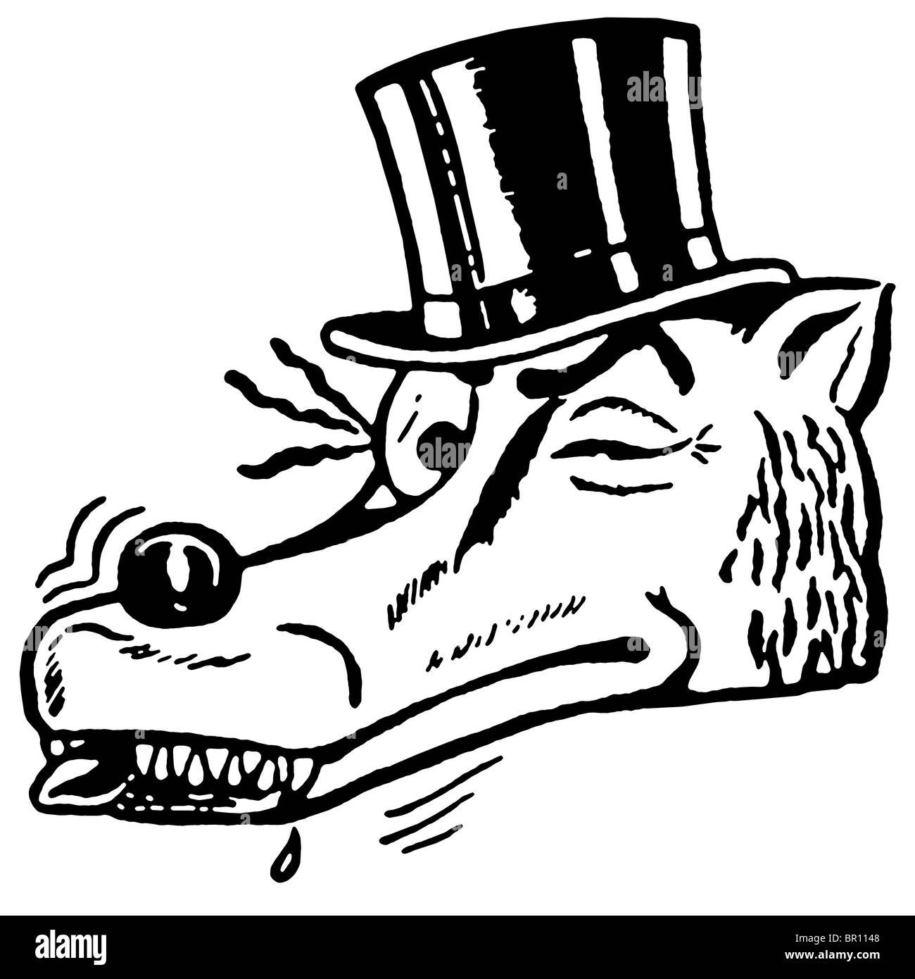 Eine schwarz-weiß Version eine augenzwinkernde Wolf einen Top Hut Stockfoto