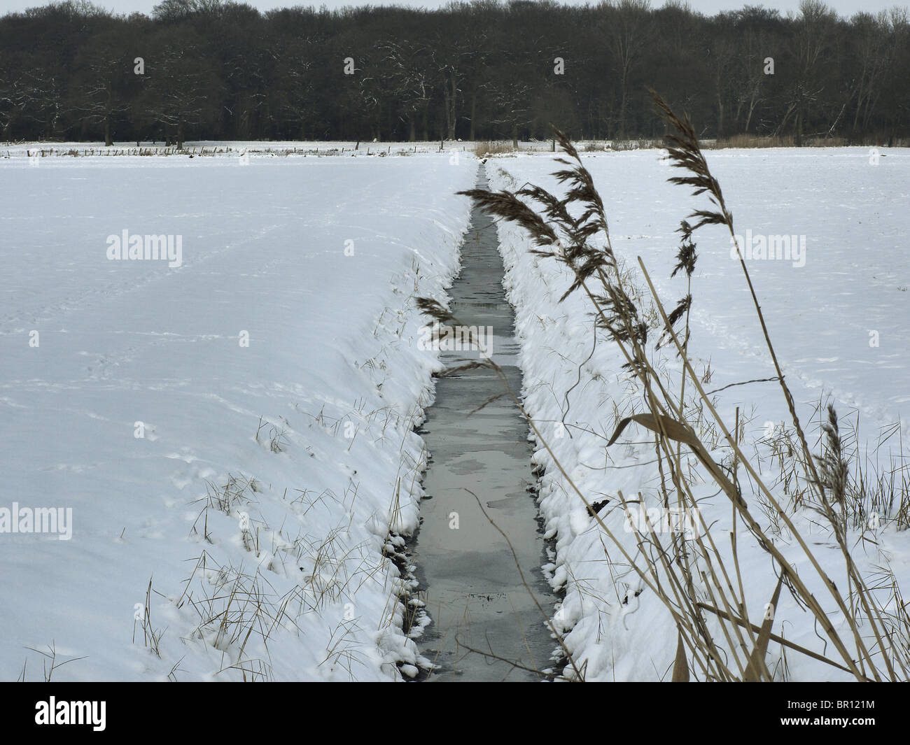 Entwässerungsgraben auf einem Feld im Winter in der Nähe von Barum, Elbmarsch, Deutschland. Stockfoto