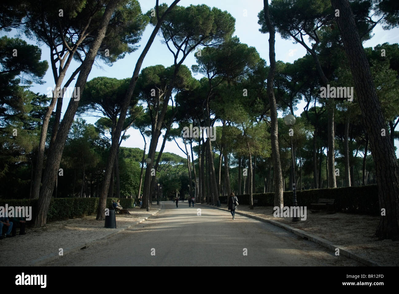 Park der Villa Borghese in Rom, Italien. Stockfoto