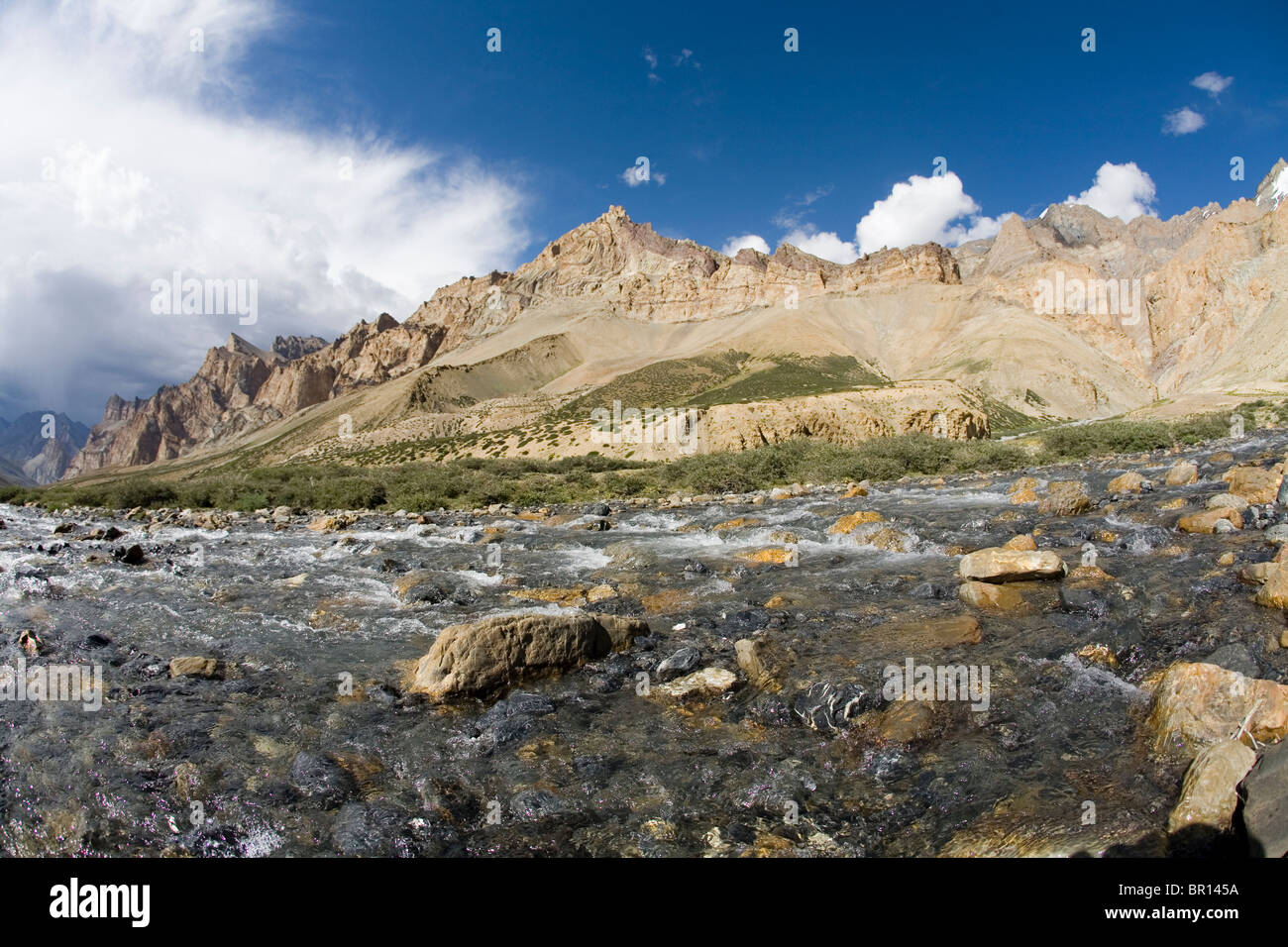Erdgeschoss auf Flüsschen und trockenen Zanskar Gebirge, Jammu und Kaschmir Zustand, Nordindien. Stockfoto