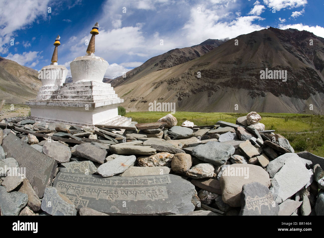 Buddhistische Chörten oder Stupas und Mani-Steinen liegen im grünen Tal, Berge von Zanskar, Ladakh, Nordindien. Stockfoto