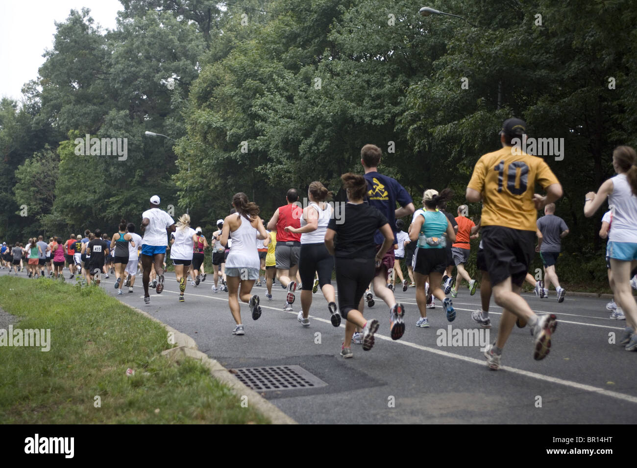 Läufer nehmen an der Jack Rabbit Schlacht von Brooklyn 10 Miler im Prospect Park. Stockfoto