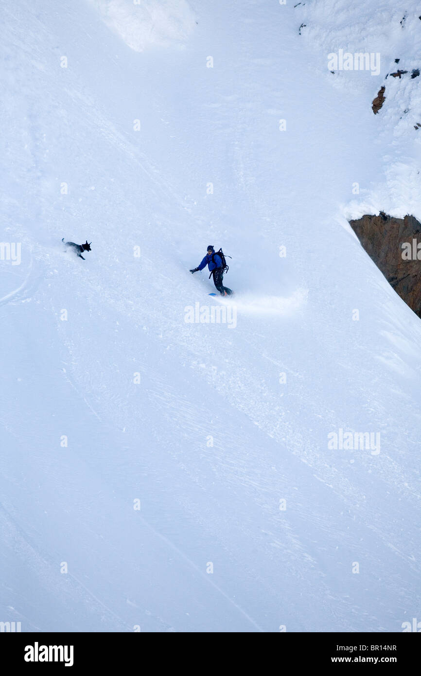 Snow Boarder reitet mit Hunden am steilen Hang. Stockfoto