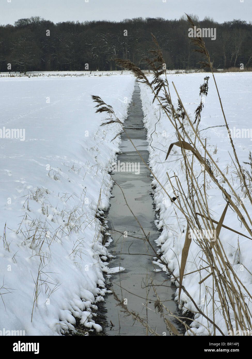 Entwässerungsgraben auf einem Feld im Winter in der Nähe von Barum, Elbmarsch, Deutschland. Stockfoto
