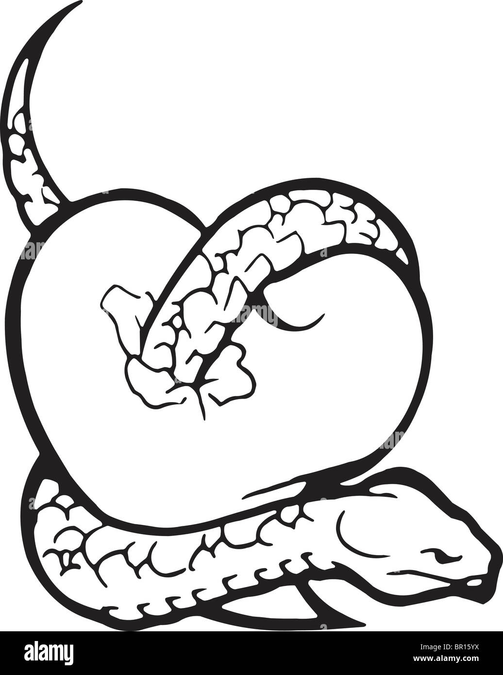 Eine schwarz-weiß Version eines Herzens mit einer Schlange umwickelt Stockfoto