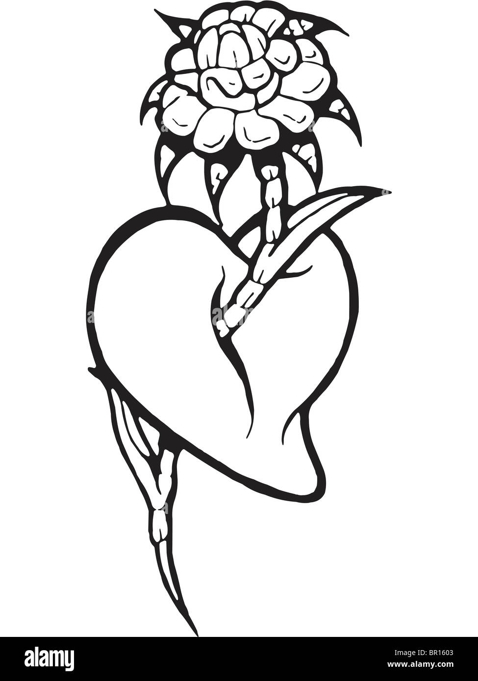 Eine schwarz-weiß Version einer Schablone ein Herz mit einer Blume kommen durch Sie Stockfoto