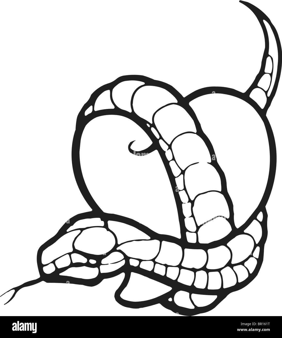 Eine schwarz-weiß Version einer Schablone ein Herz mit einer Schlange umwickelt Stockfoto