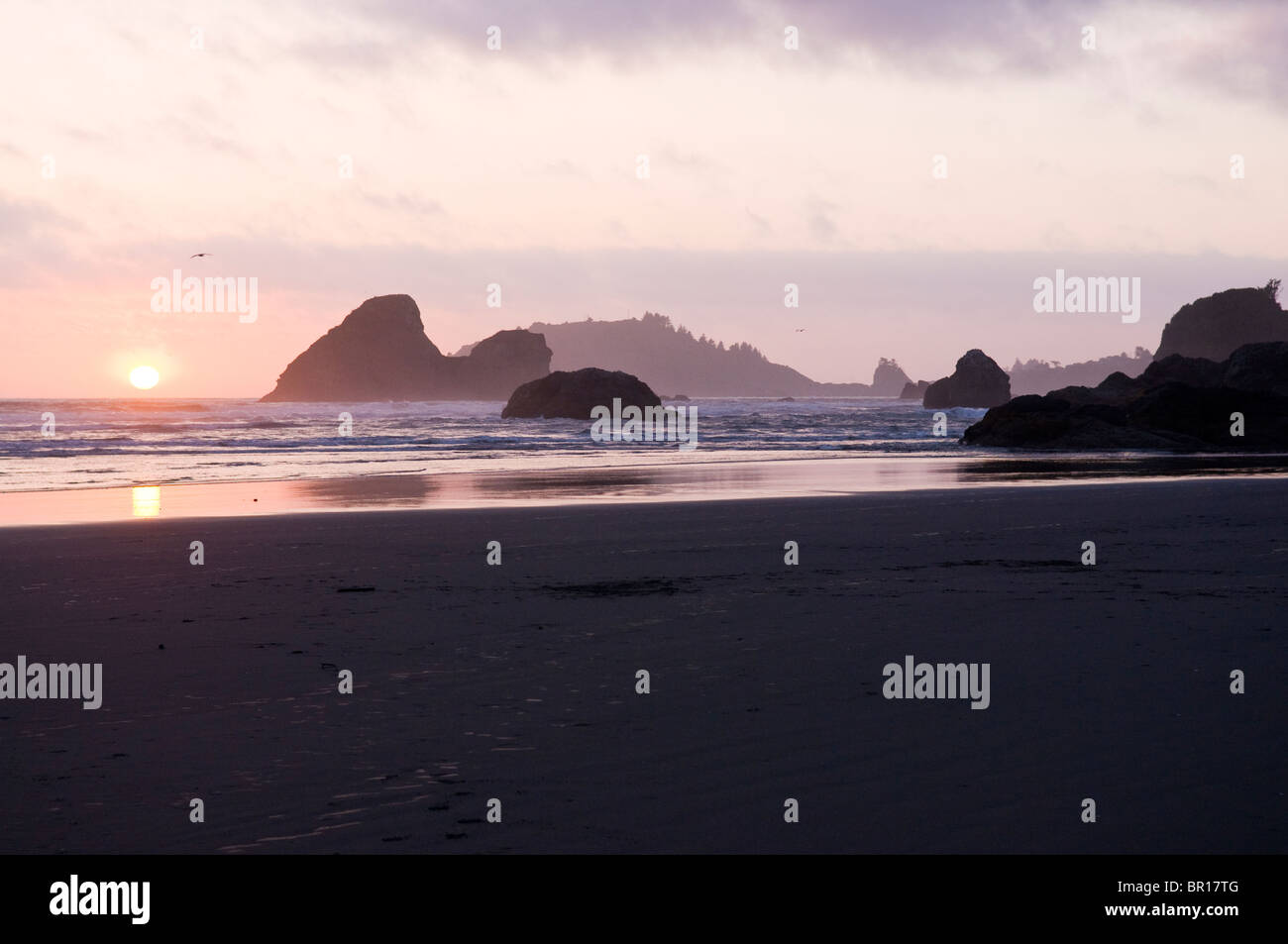 Sonne niedrige Tropfen auf Moonstone Beach. Stockfoto