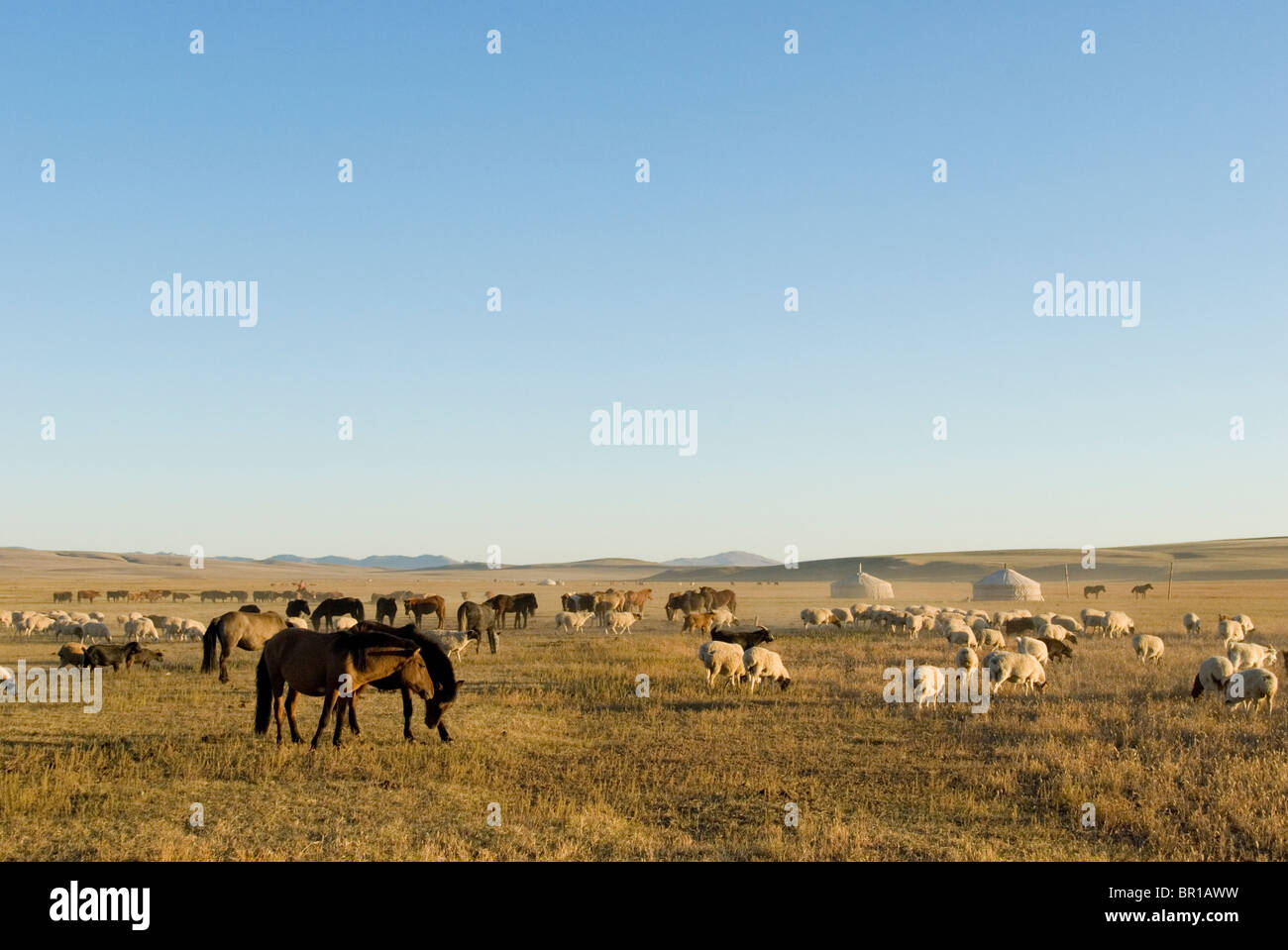 Nomadische Hirten, Karakorum (Kharkhorin), Mongolei Stockfoto