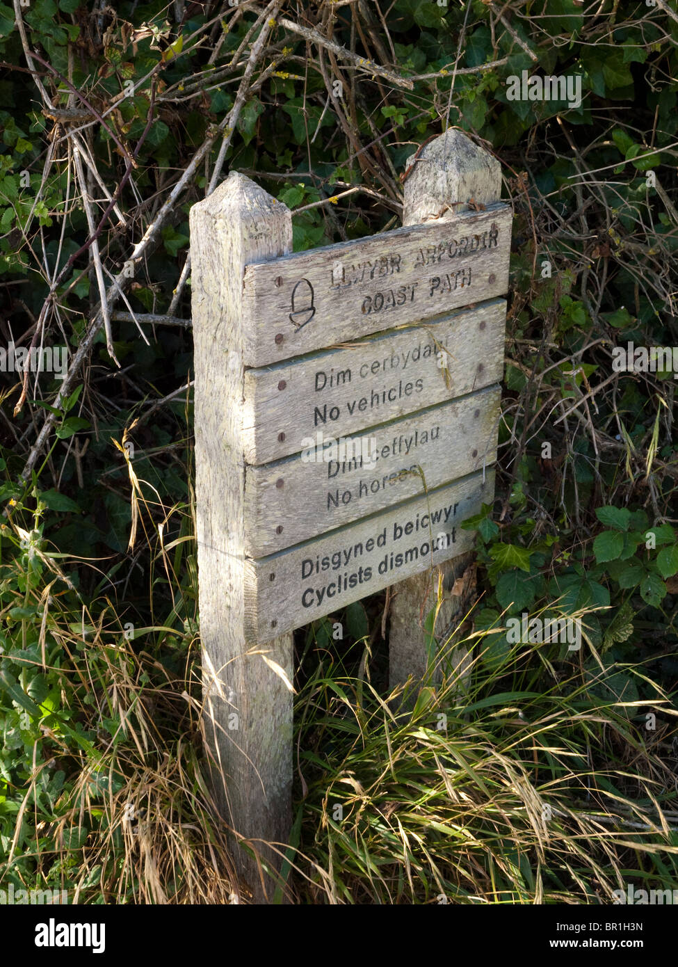 Solva, Pembrokeshire Wales UK Stockfoto