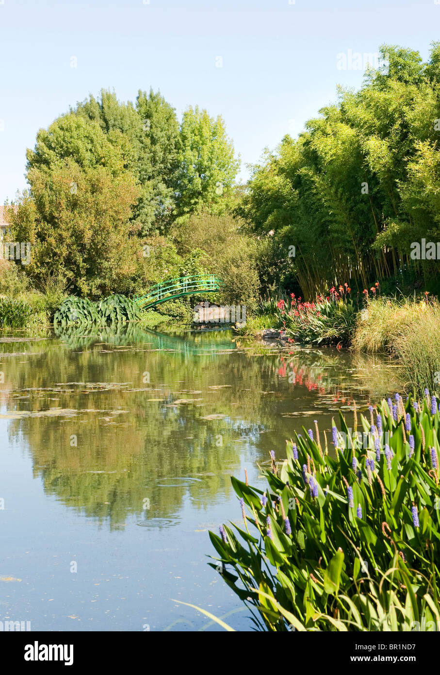 Monets Garten und Seerosenteich Giverny Frankreich Stockfoto