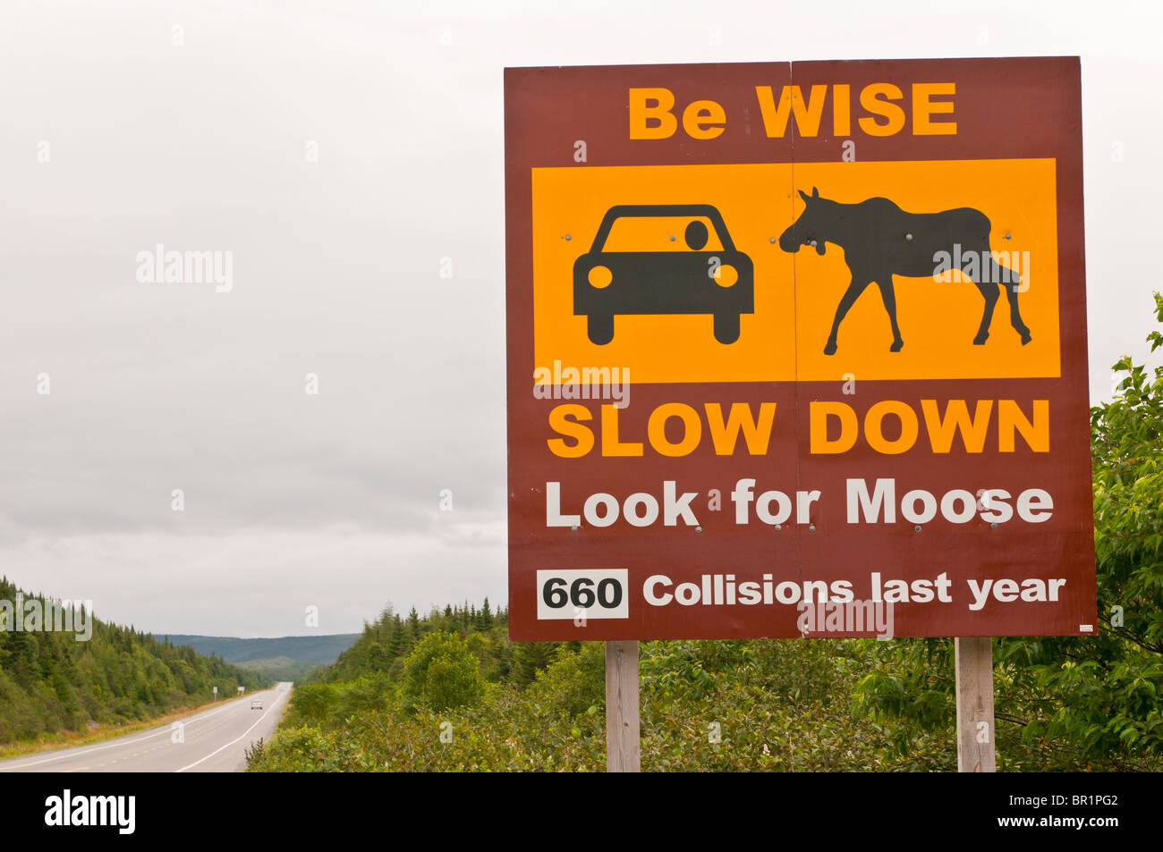 Aussehen Sie Wise langsam nach unten für Elche, Straßenschild, Autobahn 100, Avalon Halbinsel, Neufundland, Kanada Stockfoto