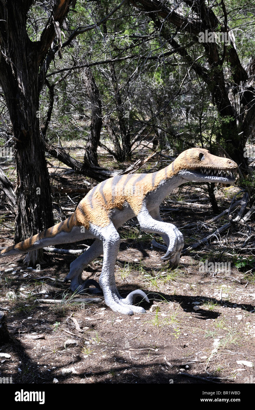 Velociraptor, Dinosaurier-Welt, Glen Rose, Texas, USA Stockfoto