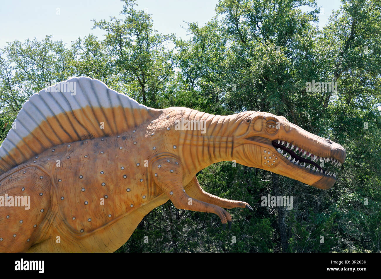 Spinosaurus, Dinosaur World, Glen Rose, Texas, USA Stockfoto