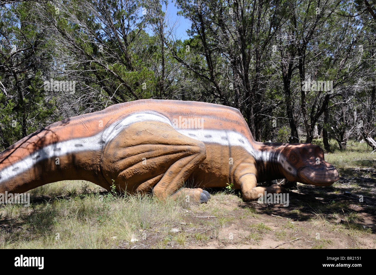 Maiasaura, Dinosaur World, Glen Rose, Texas, USA Stockfoto