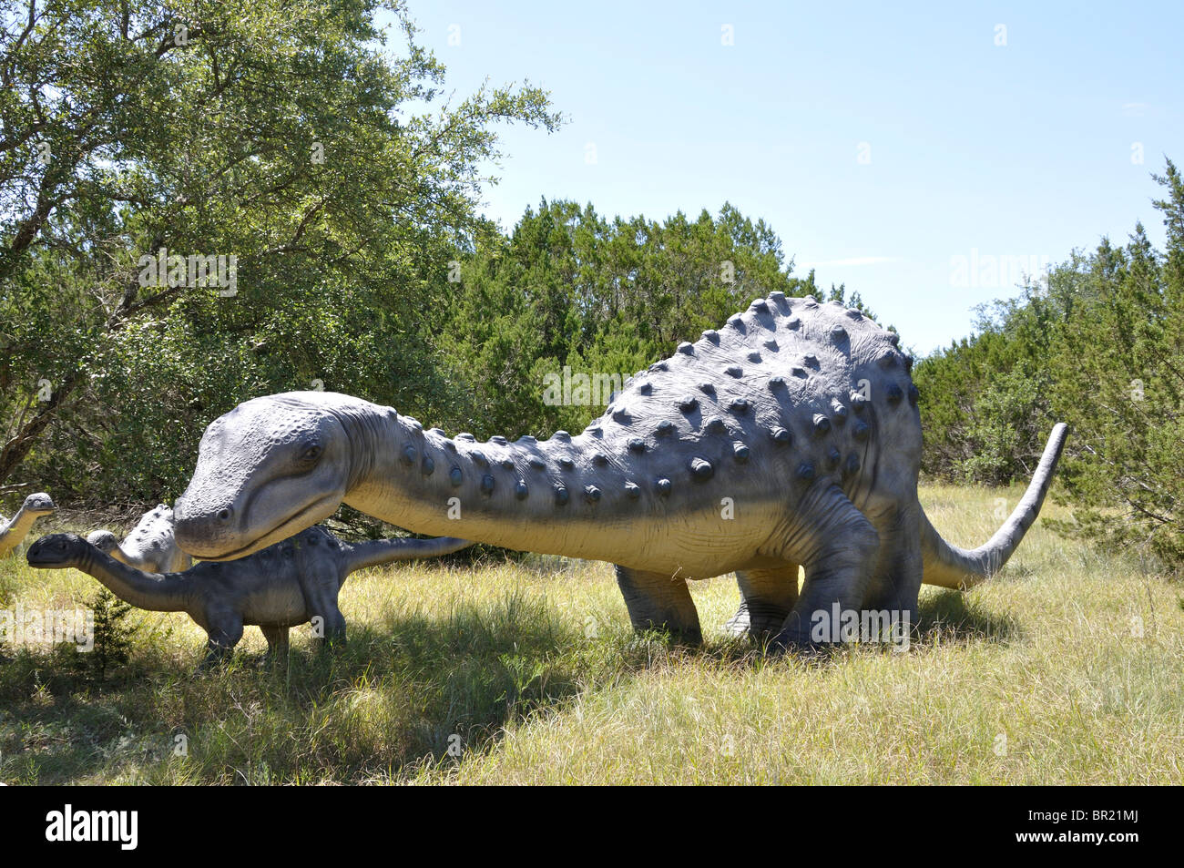 Saltasaurus Dinosaurier Welt, Glen Rose, Texas, USA Stockfoto