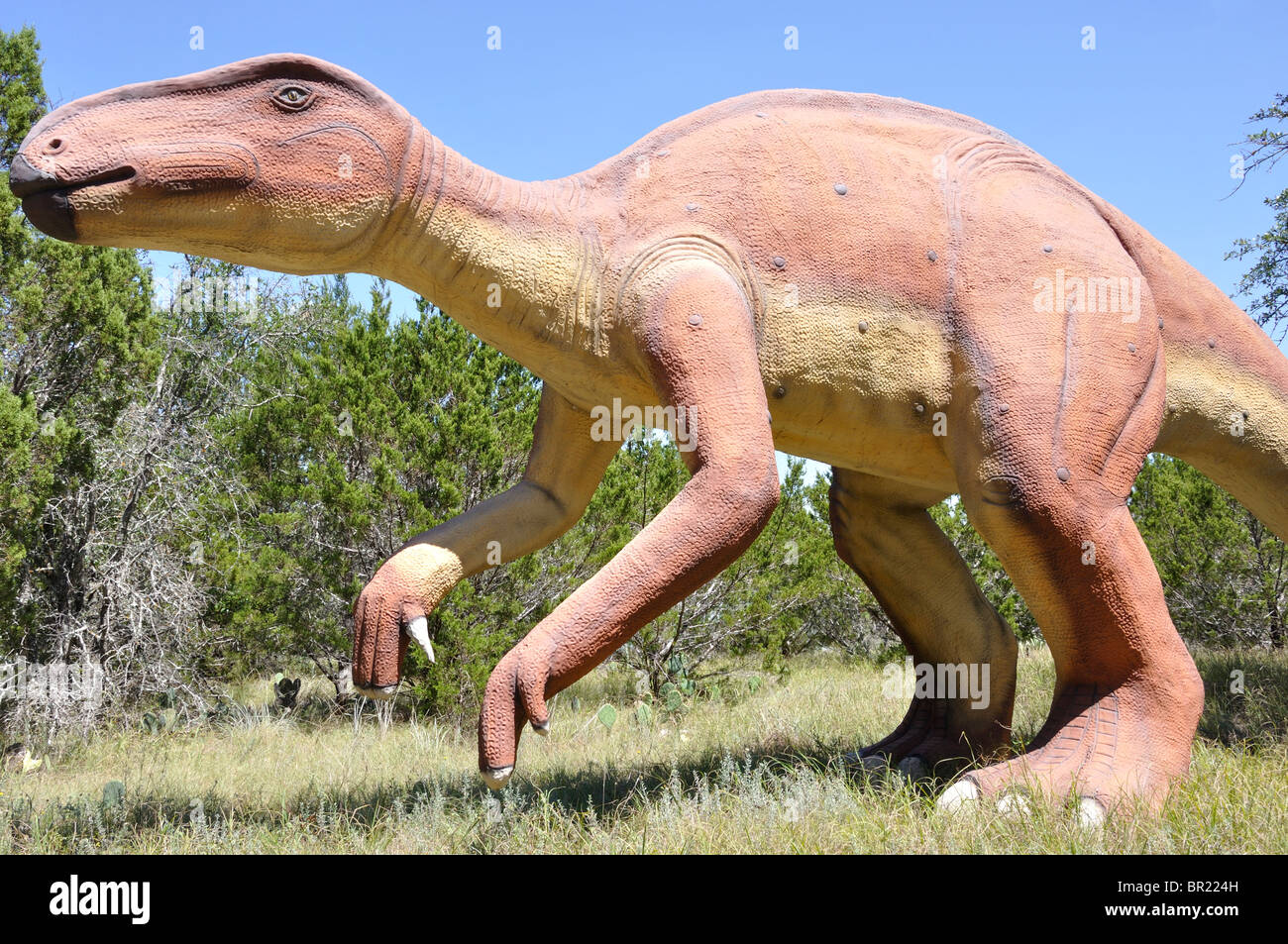 Iguanodon, Dinosaur World, Glen Rose, Texas, USA Stockfoto