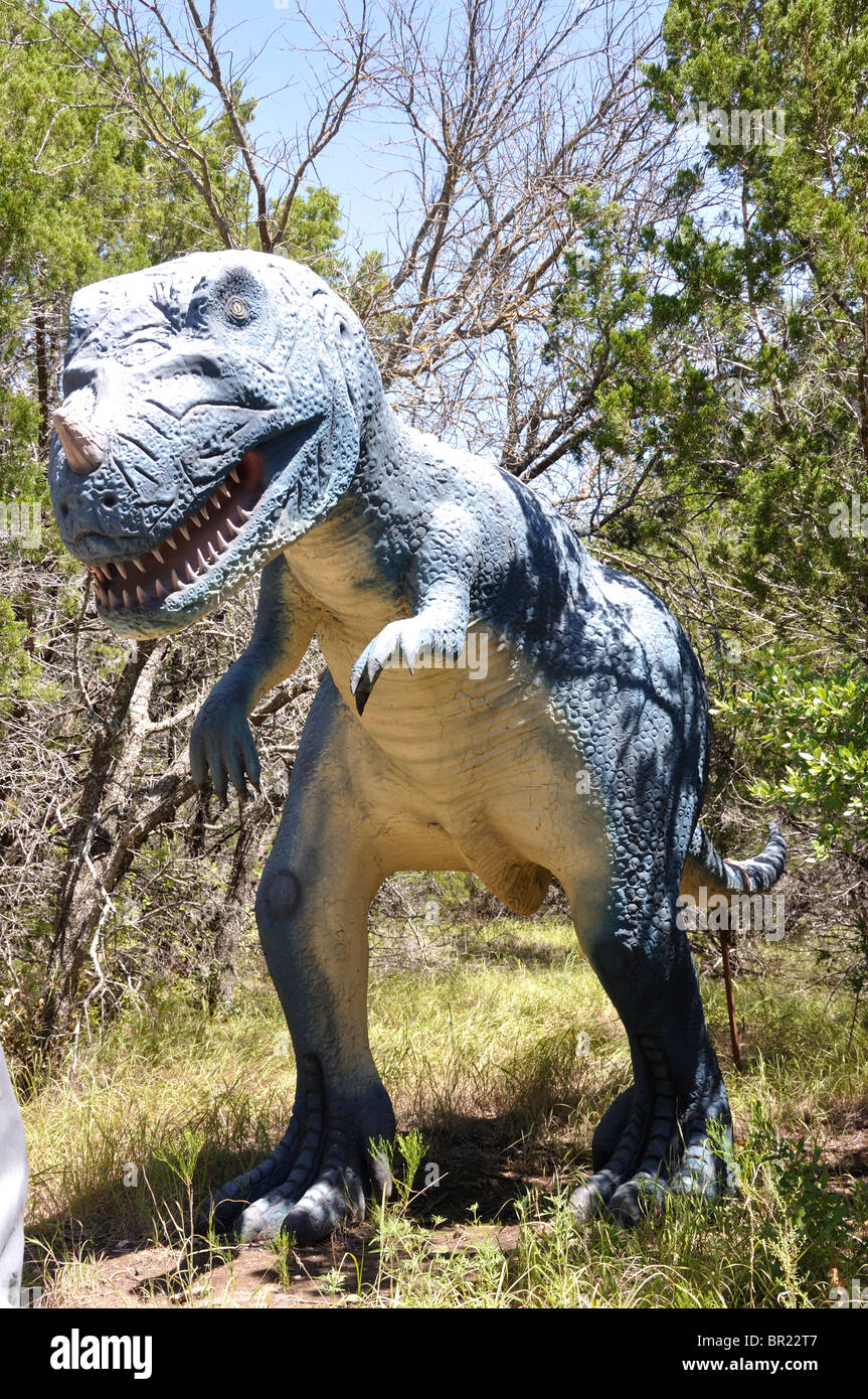 Ceratosaurus, Dinosaur World, Glen Rose, Texas, USA Stockfoto