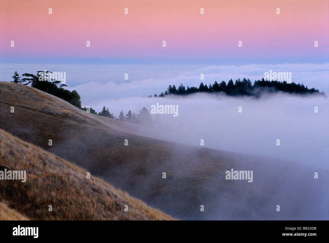 Landschaft, Nebel aufrollen Grate in der Dämmerung Stockfoto