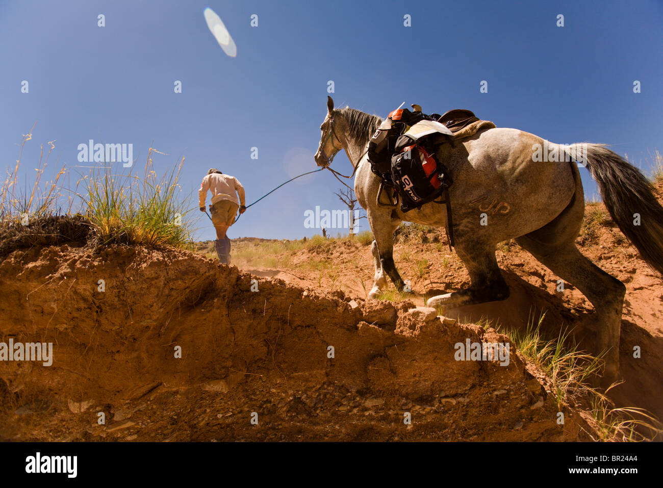 Ein Abenteuerrennfahrer führt ein Pferd in einem Rennen in Moab, Utah. Stockfoto