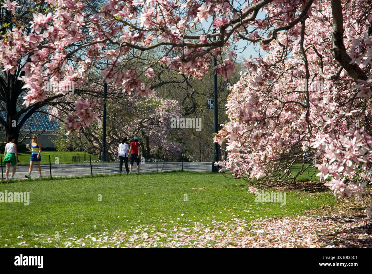 Läufer Joggen im Central Park in New York City Stockfoto