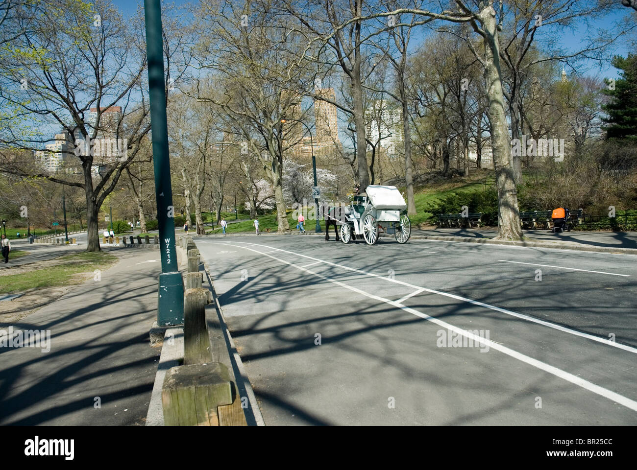 Kutschenfahrt im Central Park in New York City Stockfoto