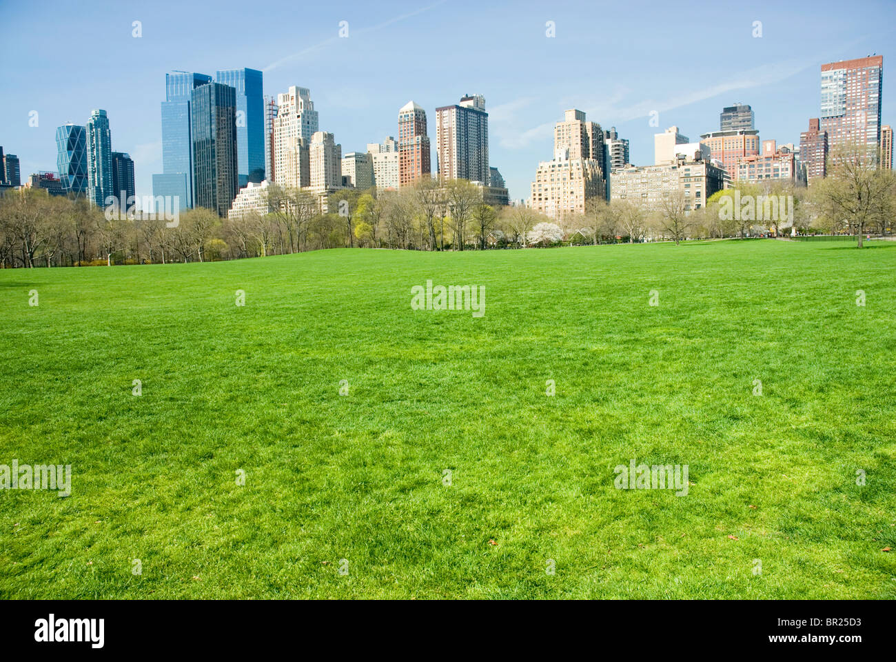 Skyline von New York aus Schaf-Wiese im Central park Stockfoto