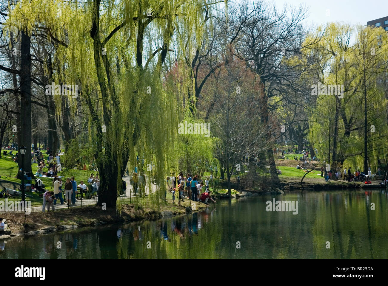 Teich der Central Park in New York City Stockfoto