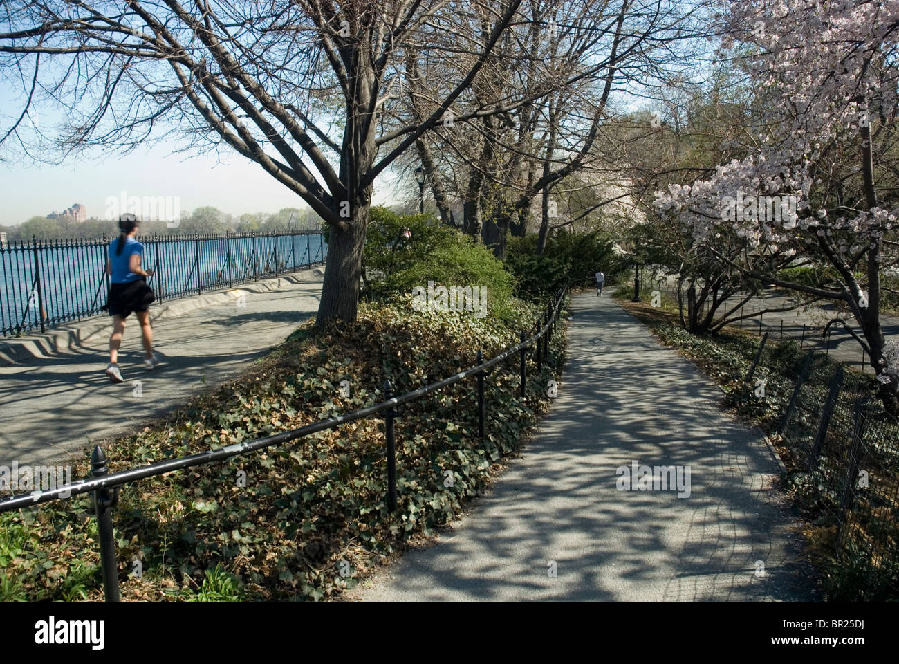 Jogger, die entlang das Reservoir der Central Park in New York City Stockfoto