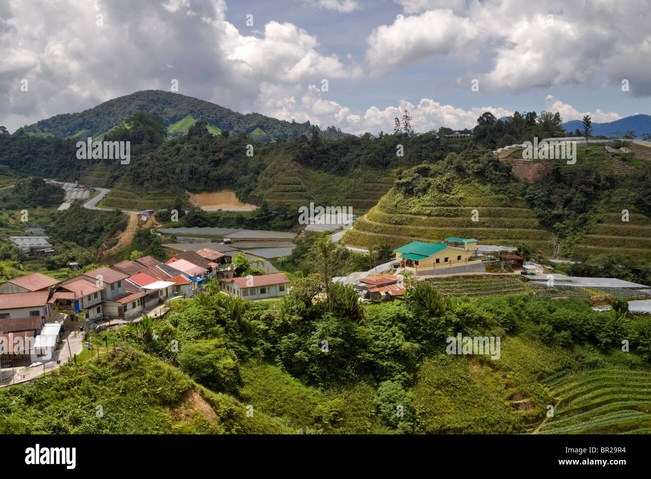 Das Dorf von Rosental, in der Nähe von Brinchang, Malaysia. Auf steilen terrassierten Hügeln werden Obst, Gemüse und Tee angebaut. Stockfoto