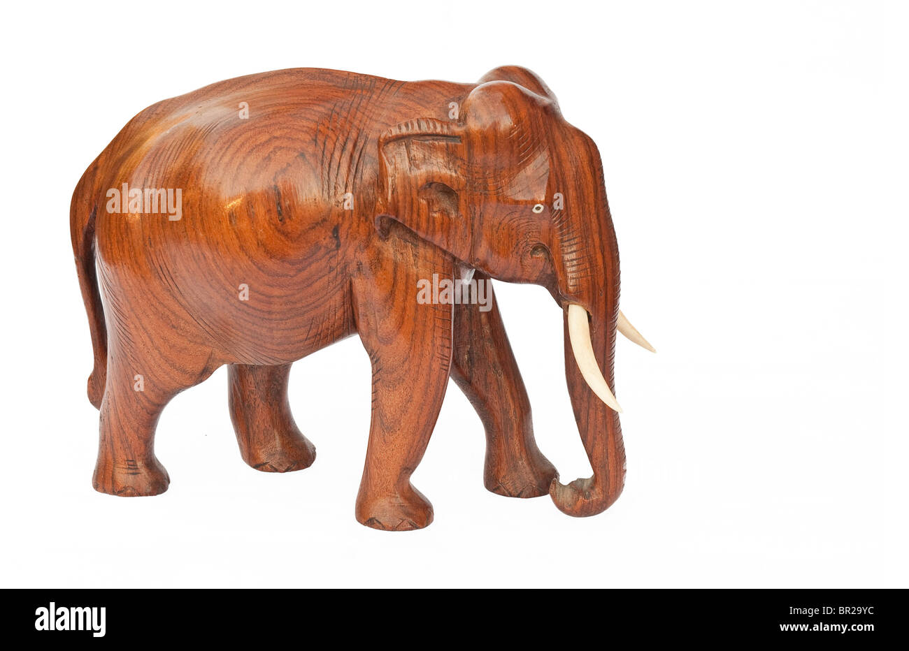 Aus Holz geschnitzte Elefanten isoliert auf weißem Hintergrund Stockfoto
