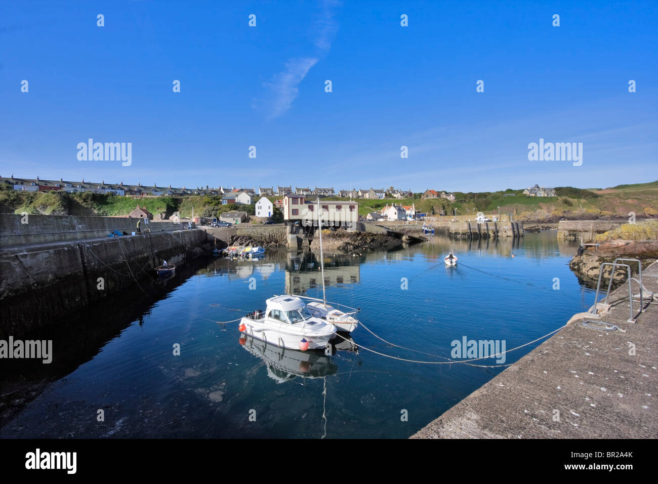 Der Hafen von St. Abbs, Schottland Stockfoto