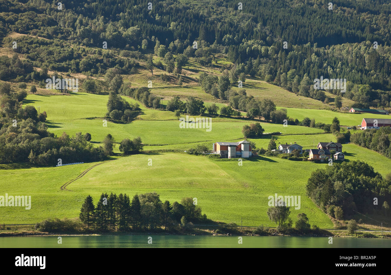 Almwiese, Olden, Norwegen, Bauernhof mit üppigen grünen Hügeln Stockfoto