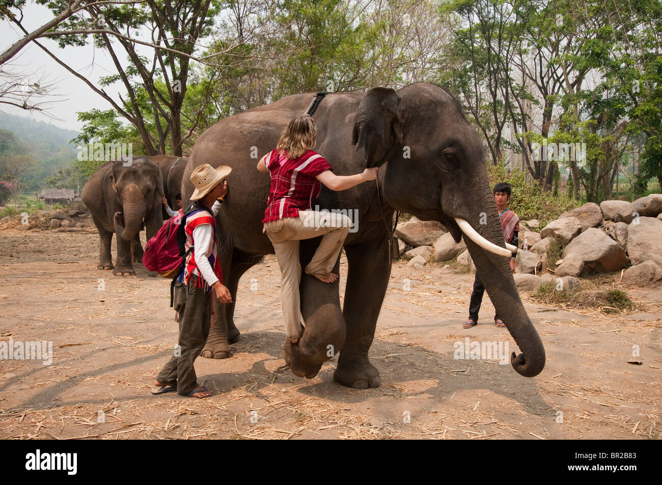 Patara Elefanten Farm; Chiang Mai, Thailand: Besucher lernen, wie man einen Elefanten zu montieren. Stockfoto