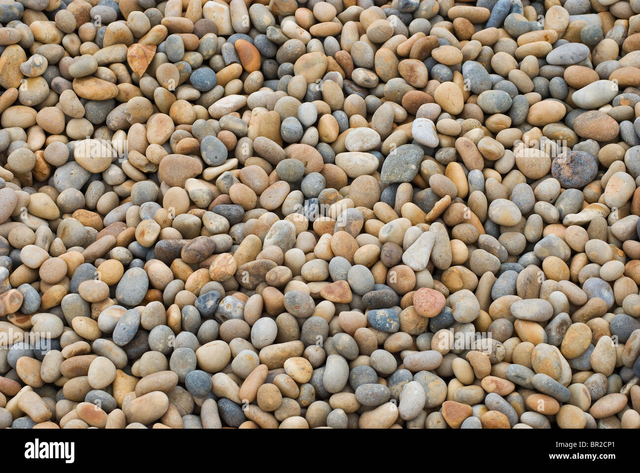 Kiesel auf Chesil Beach, Weymouth, Dorset, England Stockfoto