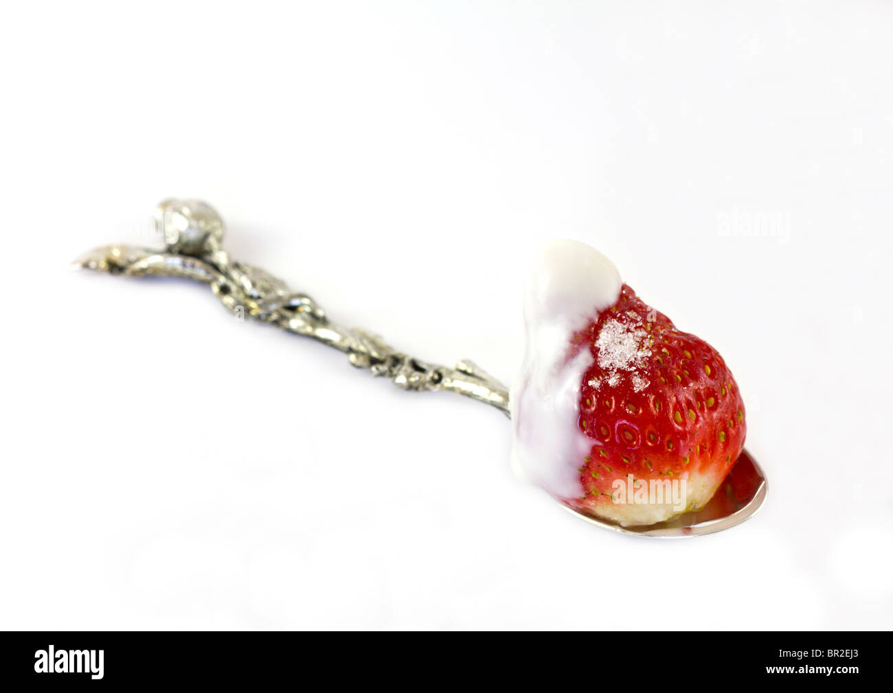 Nahaufnahme einer Erdbeere auf einem Löffel, bestreut mit Zucker und Joghurt auf weißem Hintergrund. Stockfoto