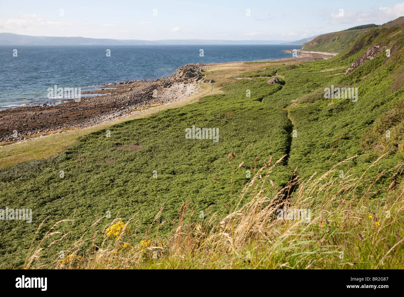 Coastal Wanderweg in der Nähe von Drumadoon Punkt, Isle of Arran, Schottland Stockfoto