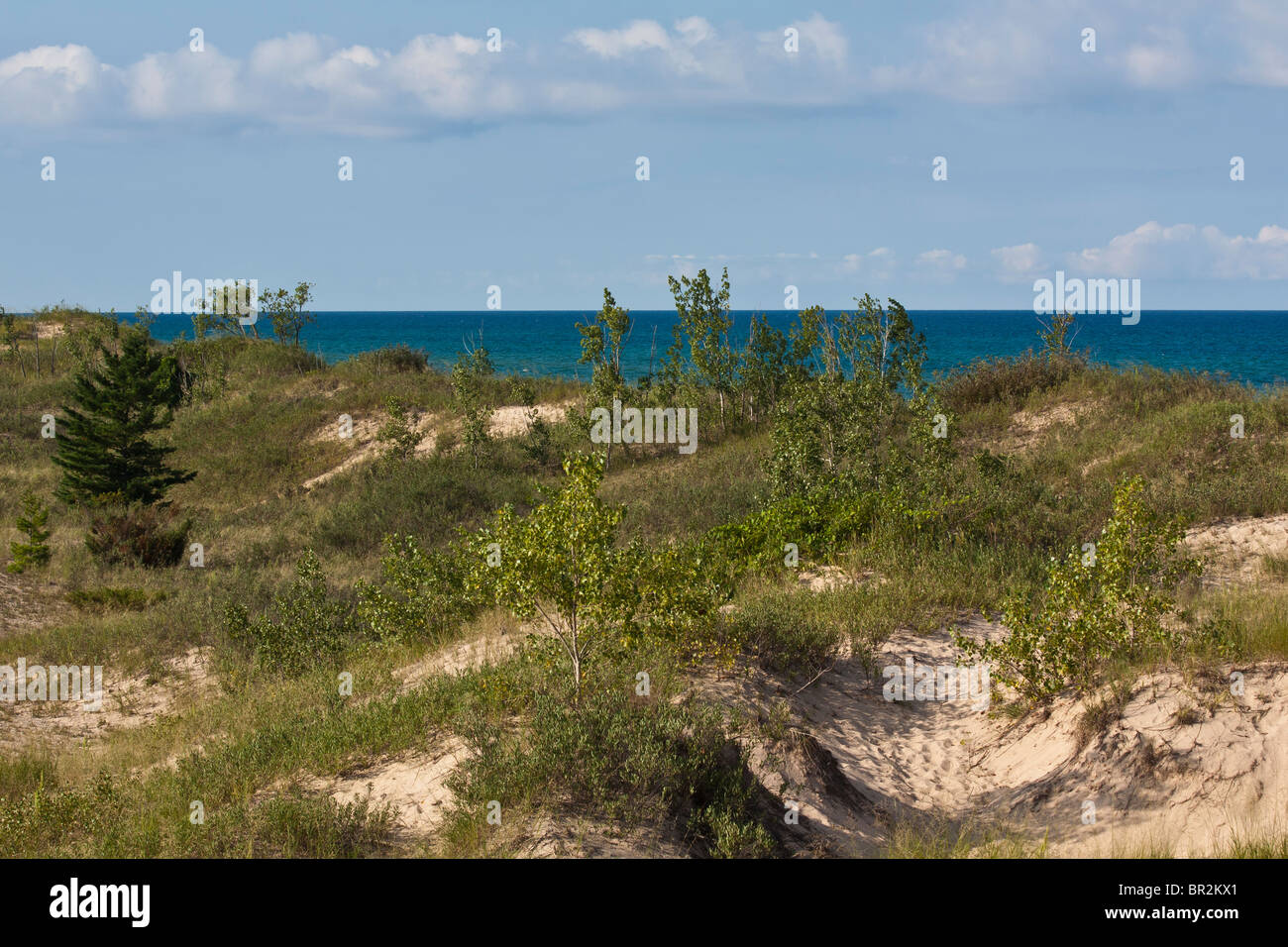 State Park am Silver Lake Michigan in den USA ein Sandstrand außerhalb des Horizonts Hintergründe luxuriöses Hintergrundhintergrund Telefon für mobile Hintergrundbilder Hi-res Stockfoto