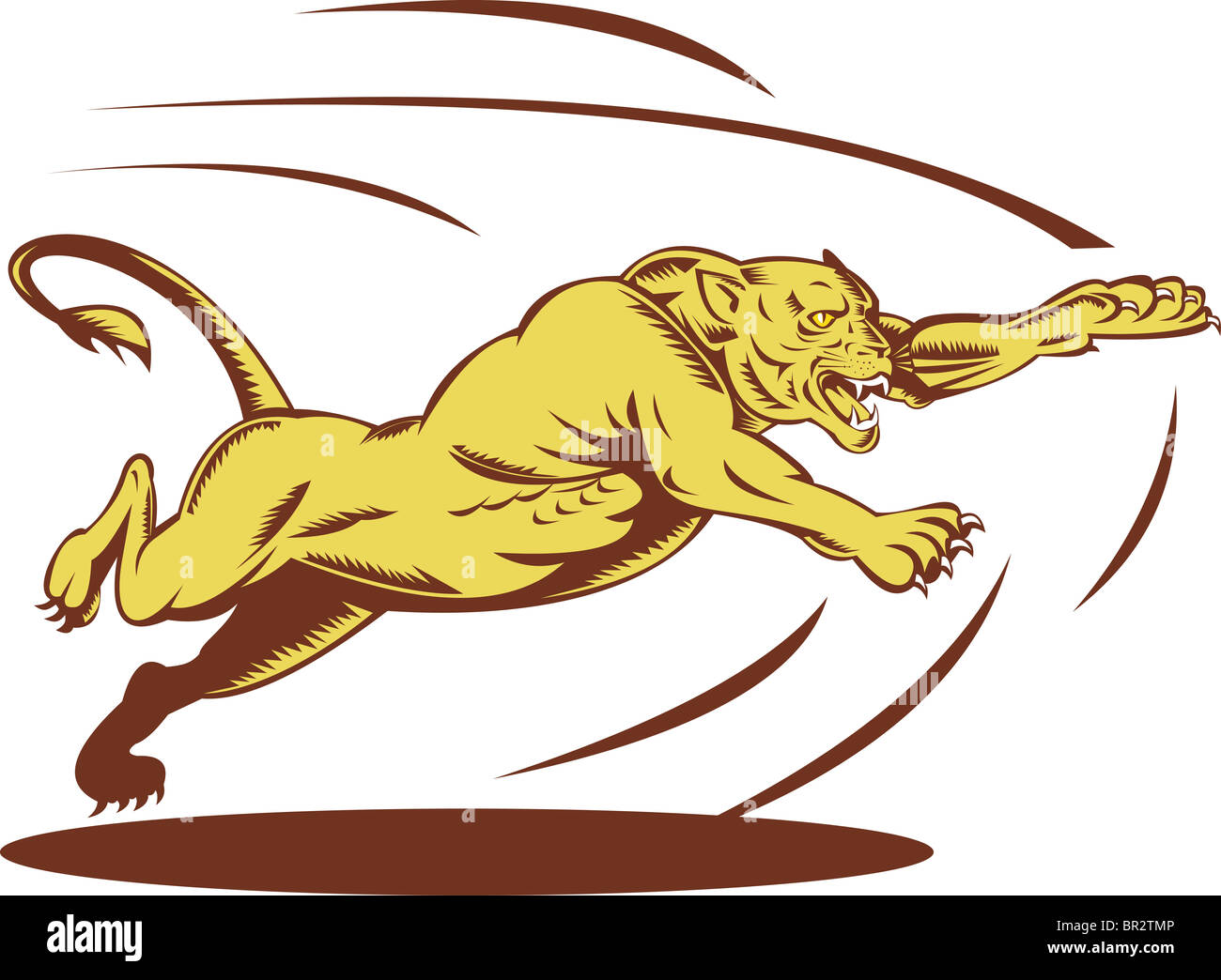 Beispiel für eine Raubkatze Panther Puma PUMA Löwin springen und angreifen gemacht im Stil der Retro-Holzschnitt Stockfoto