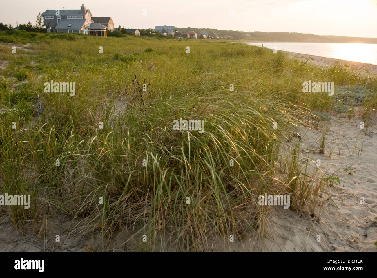 Häuser säumen einen Strand entlang Gardiners Bucht. East Hampton, New York. Stockfoto