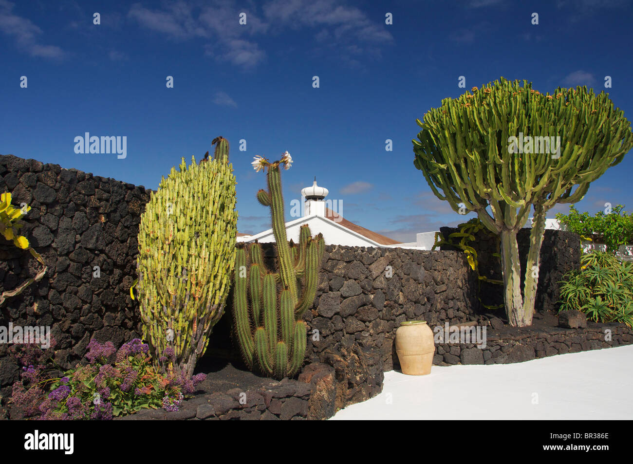 Stiftung César Manrique auf Lanzarote, Kanarische Inseln Stockfoto