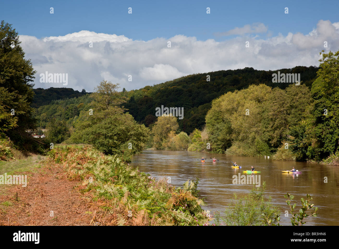 Kanuten auf dem Fluss Wye in der Nähe von Kern-Brücke, Symonds Yat, Herefordshire Stockfoto