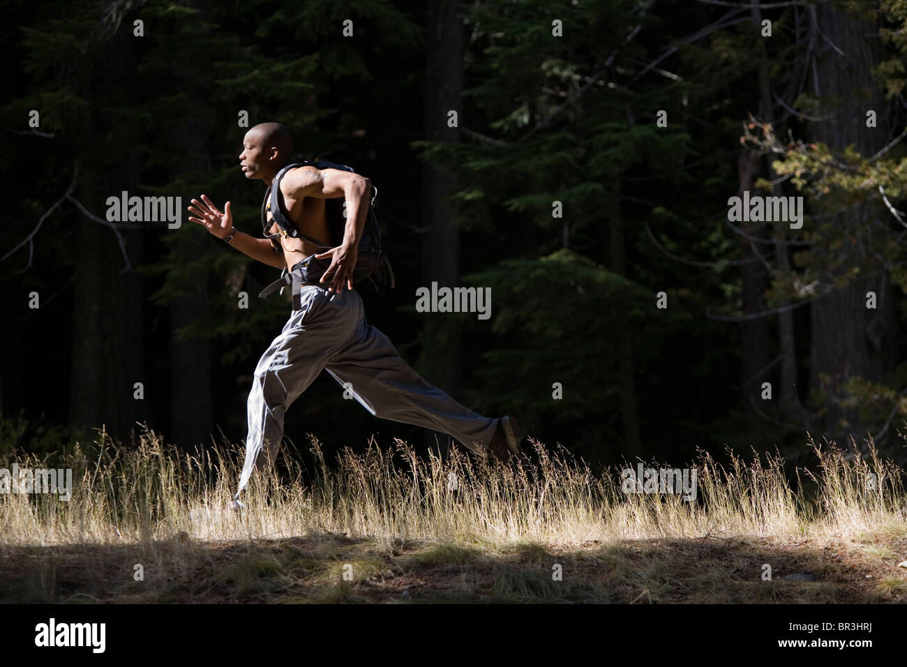 Afrikanische amerikanischer Mann, Amor Alexander läuft auf Trail in der Nähe von Mt. Hood in den Cascade Mountains, Oregon. (hoher Kontrast) Stockfoto