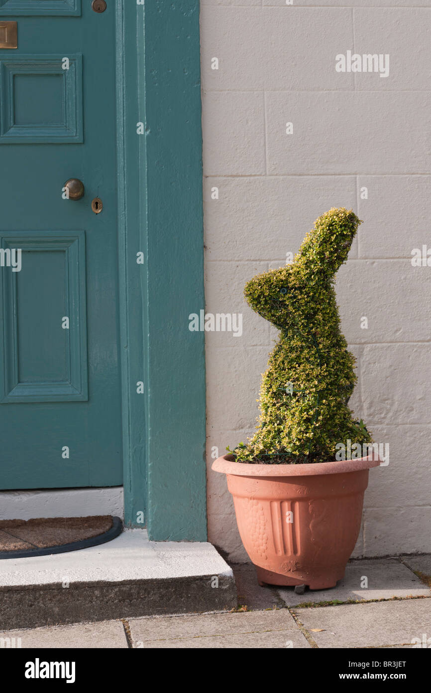 Liguster Busch in eine Container-Hecke getrimmt, Kaninchen Form vor einer  Tr Stockfotografie - Alamy