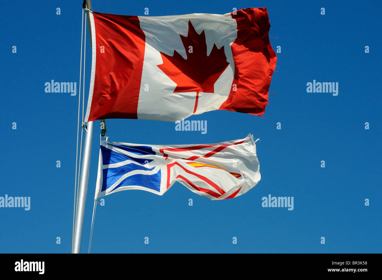 Die Fahnen von Kanada und Neufundland und Labrador von einem Fahnenmast geflogen Stockfoto