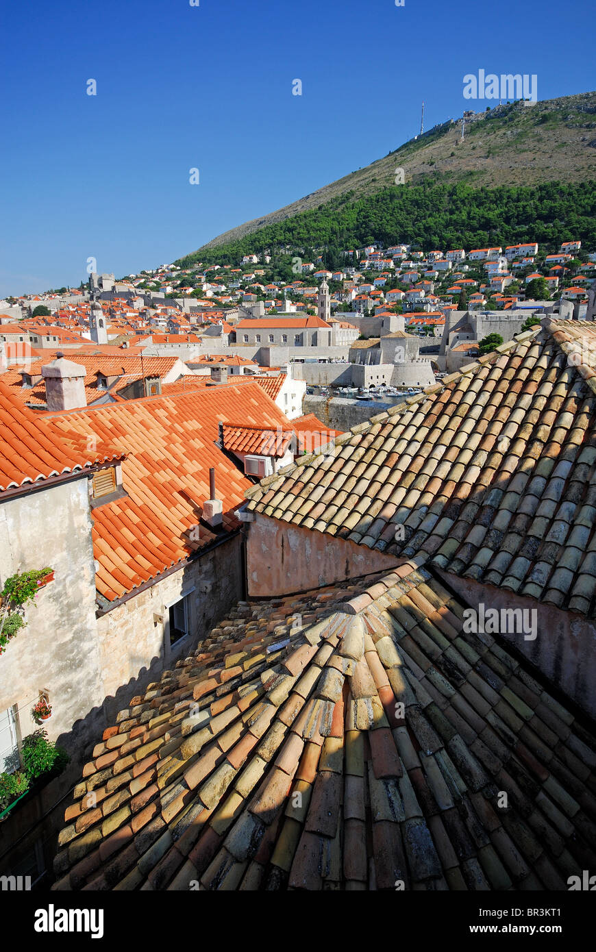 Dubrovnik Kroatien auf dem Dach Altstadtblick Stockfoto