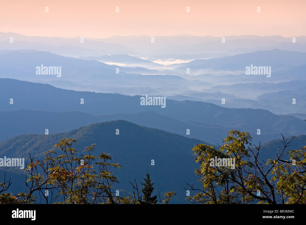 Blick auf den Smoky Mountains von Clingman der Kuppel. Stockfoto