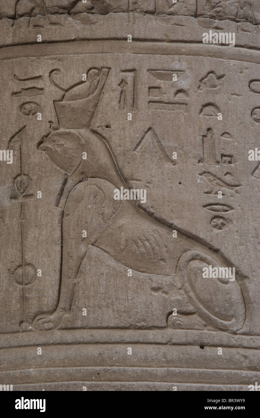 Reliefe repräsentieren eine Sphinx unter der Leitung von Falke. Tempel des Horus. Edfu. Ägypten Stockfoto