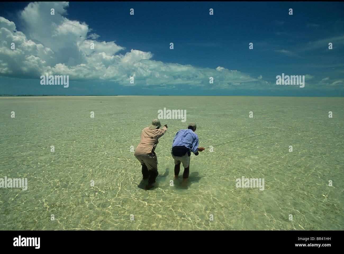 Stalking eine Bonefish auf den Bahamas Stockfoto