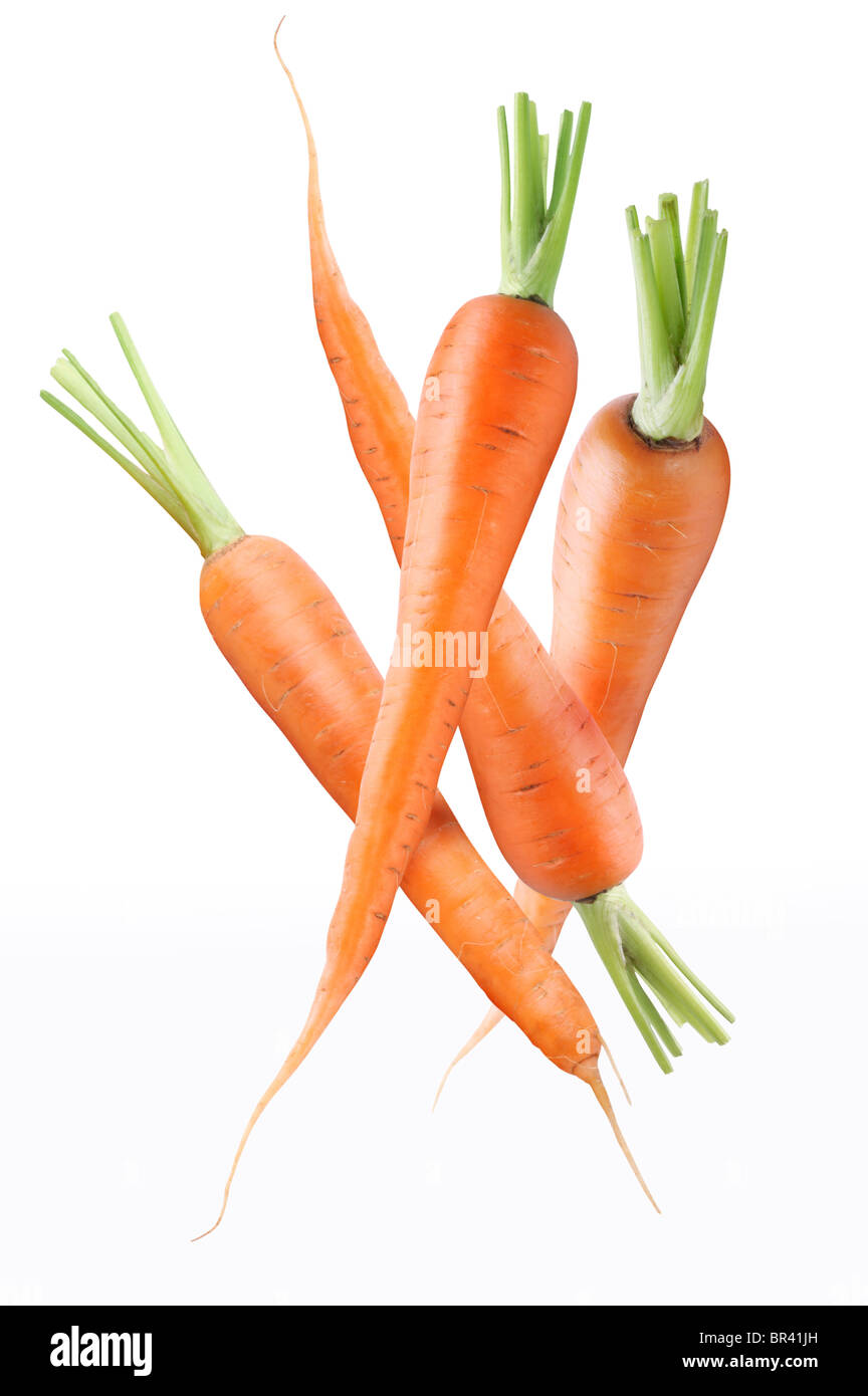 Frische reife Karotten. Isoliert auf weißem Hintergrund. Stockfoto